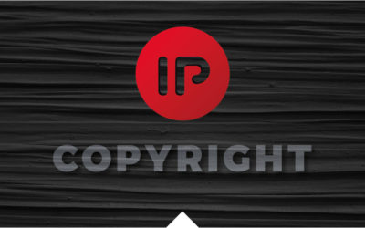 Copyright protection over a portal