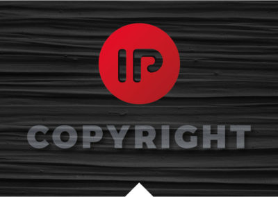 Copyright protection over a portal